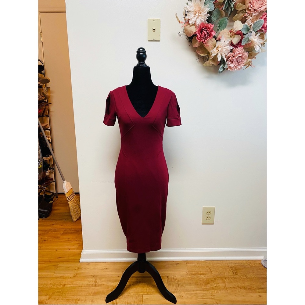 Maroon Red Bailey 44 Dress